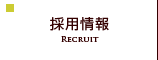 採用情報