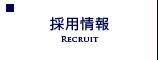 採用情報