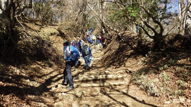 ⑨193大山登山道