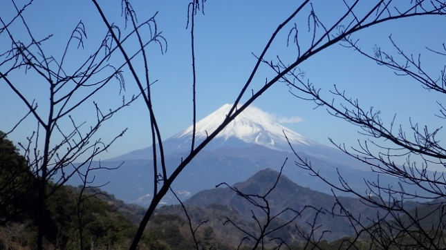 ⑫115林道での富士山