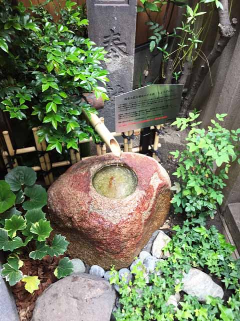 IMG_1718 - コピー