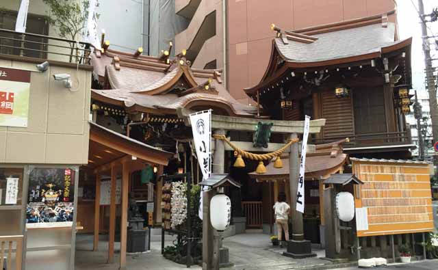 IMG_1717 - コピー